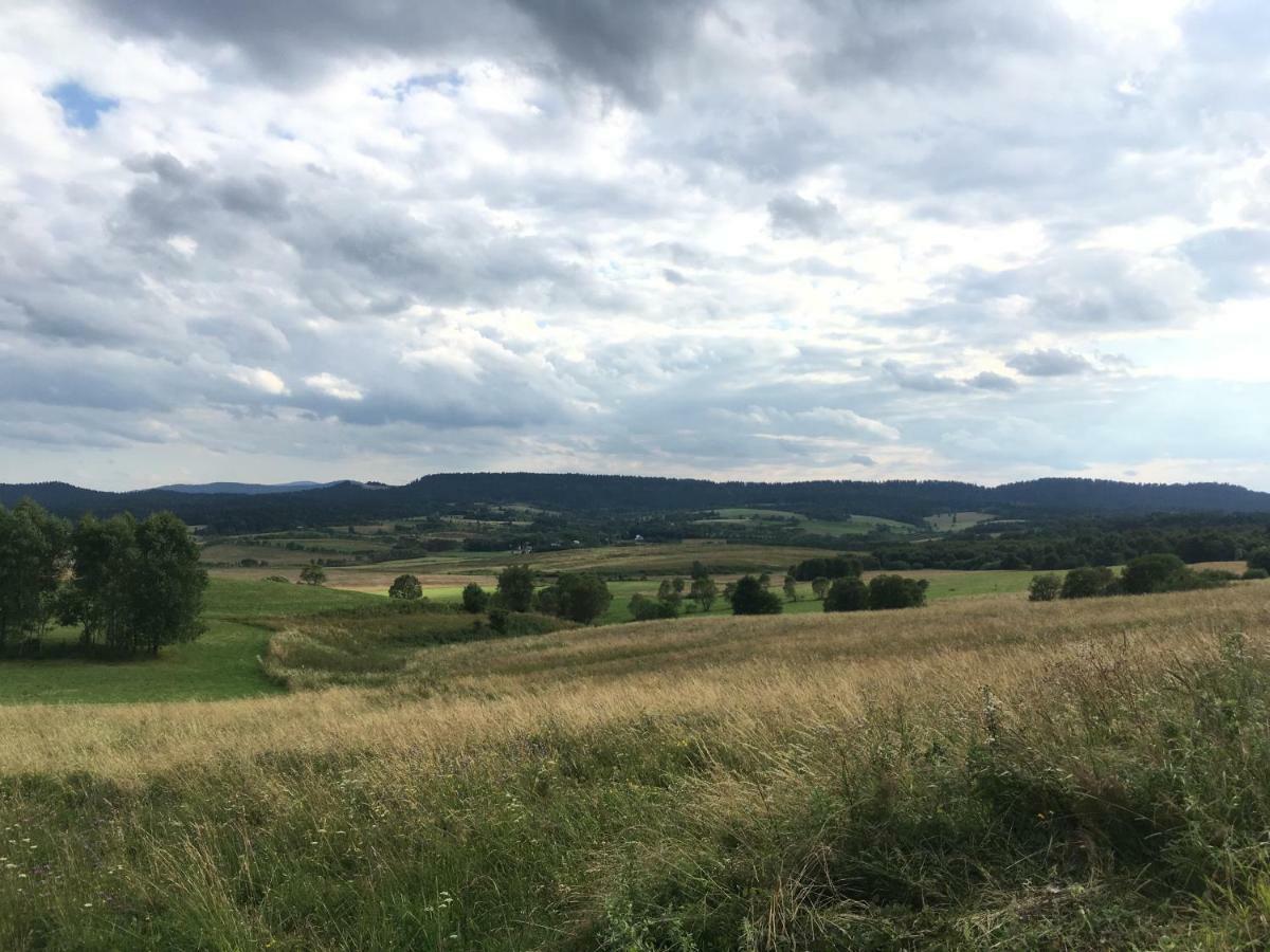 Pokoje U Bozeny I Zbyszka Appartement Lipie  Buitenkant foto