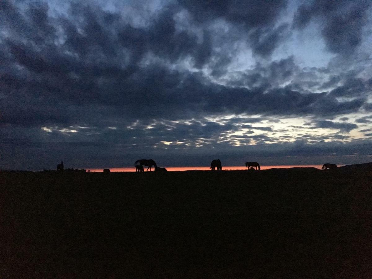 Pokoje U Bozeny I Zbyszka Appartement Lipie  Buitenkant foto