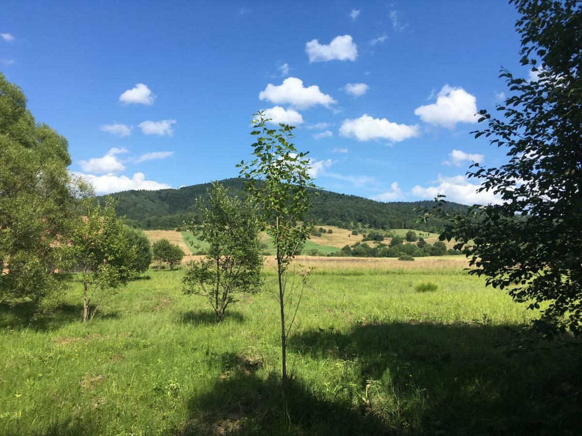 Pokoje U Bozeny I Zbyszka Lipie  Buitenkant foto