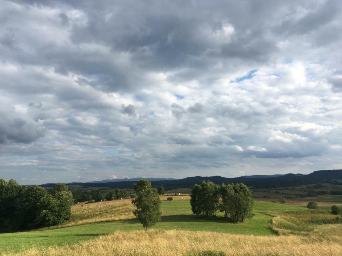 Pokoje U Bozeny I Zbyszka Lipie  Buitenkant foto